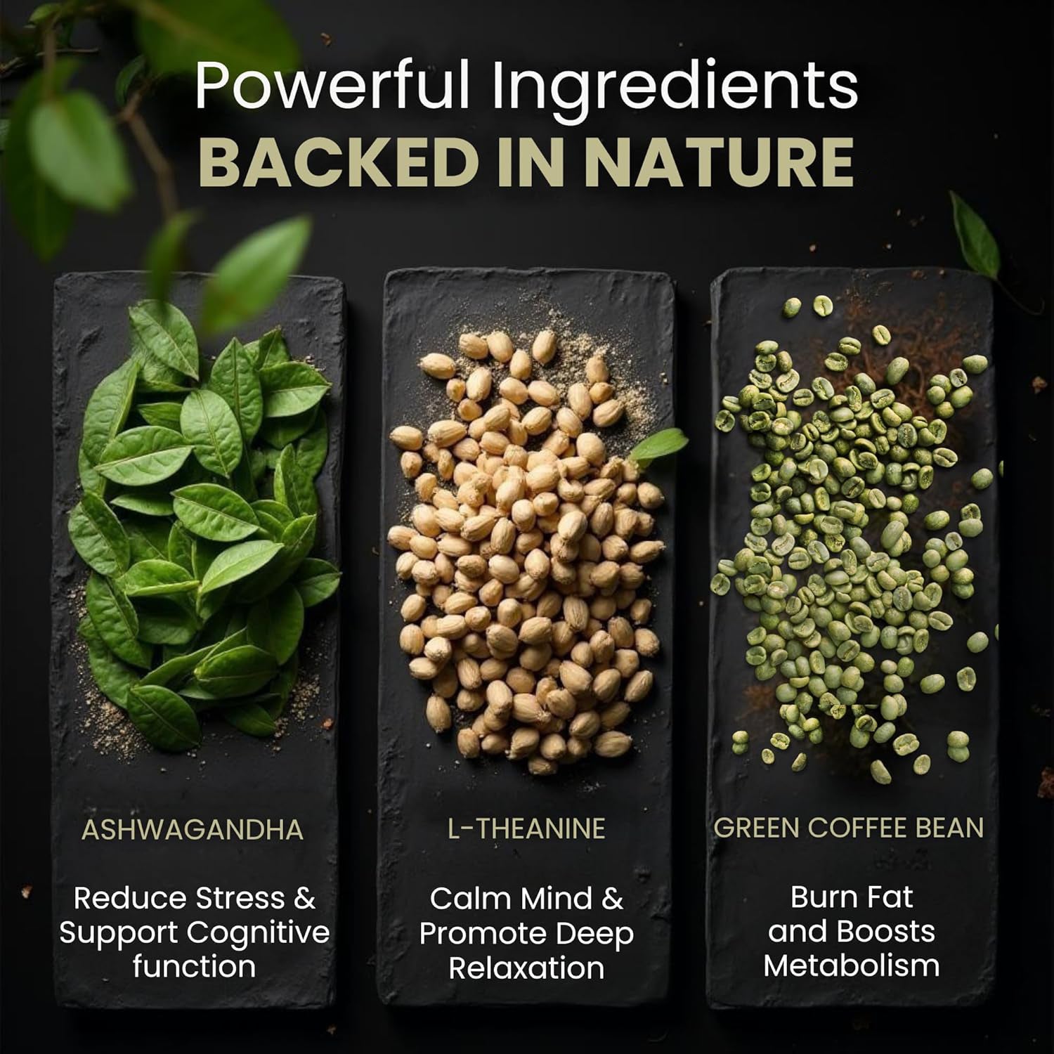 Nature-Inspired Dietary Supplement